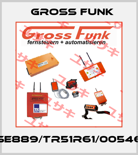 SE889/TR51R61/00546 Gross Funk