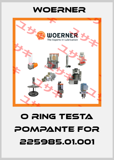 O ring testa pompante for 225985.01.001 Woerner