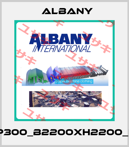 RP300_B2200xH2200_LH Albany