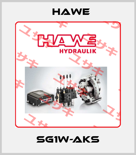SG1W-AKS Hawe