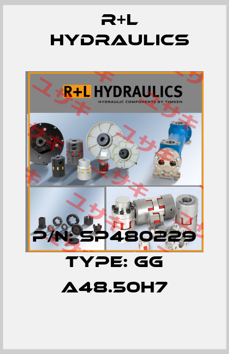 P/N: SP480229 Type: GG A48.50H7 R+L HYDRAULICS