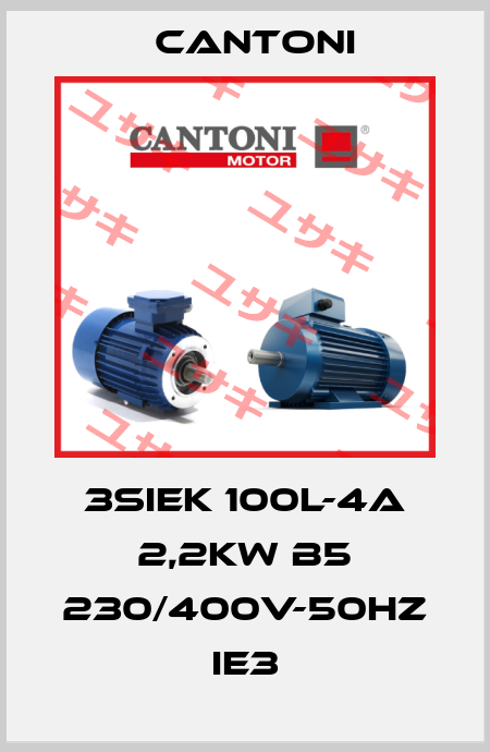 3SIEK 100L-4A 2,2kW B5 230/400V-50Hz IE3 Cantoni