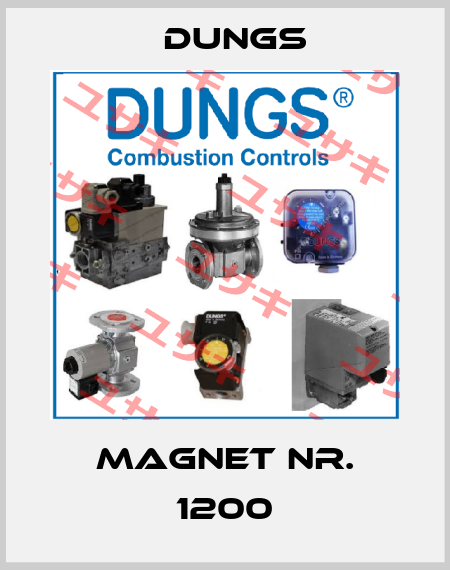 Magnet Nr. 1200 Dungs