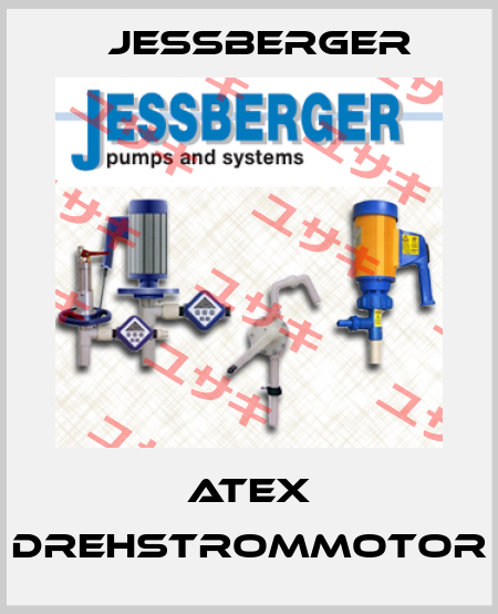 ATEX Drehstrommotor Jessberger