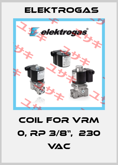 Coil for VRM 0, RP 3/8“,  230 VAC Elektrogas
