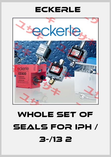 whole set of seals for IPH / 3-/13 2 Eckerle
