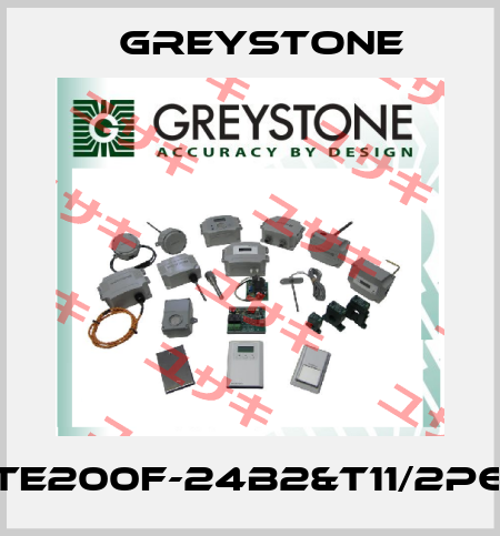 TE200F-24B2&T11/2P6 Greystone