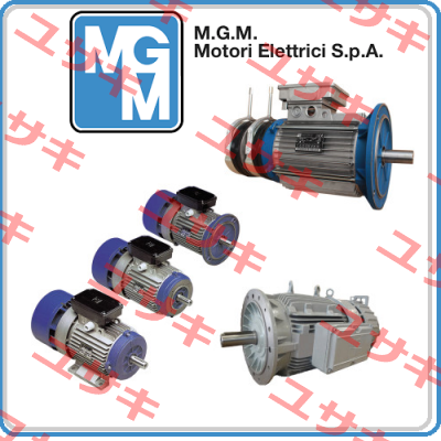 TYPE: SM56A2 N°12300830 M.G.M MOTORI