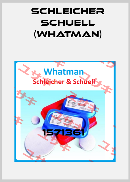 1571361  Schleicher Schuell (Whatman)