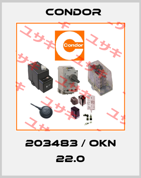 203483 / OKN 22.0 Condor