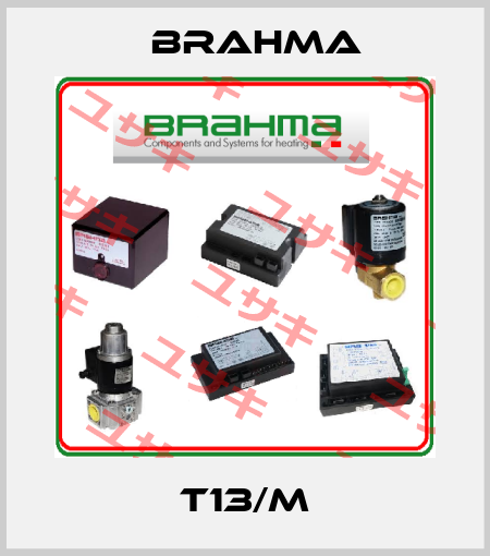 T13/M Brahma