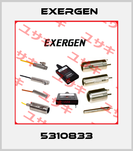 5310833 Exergen