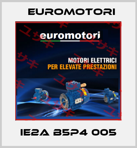 IE2A B5P4 005 Euromotori