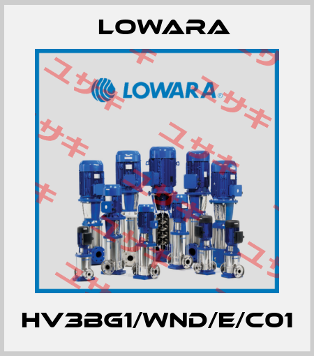 HV3BG1/WND/E/C01 Lowara