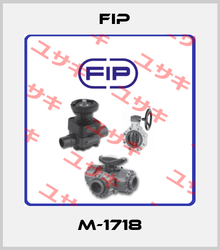 M-1718 Fip