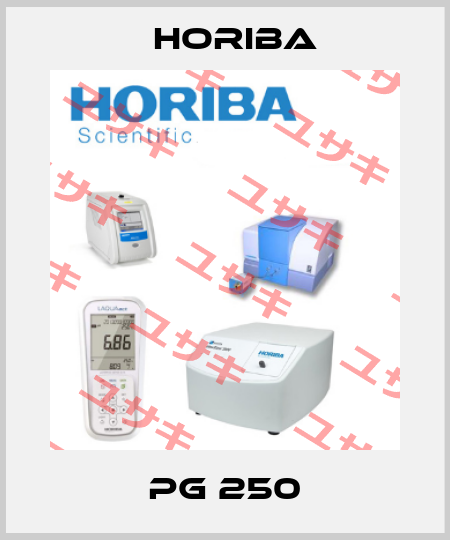  PG 250 Horiba
