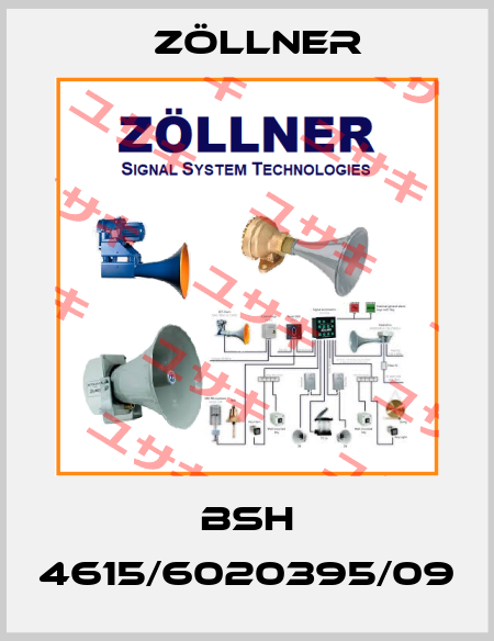 BSH 4615/6020395/09 Zöllner