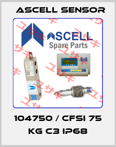 104750 / CFSI 75 kg C3 IP68 Ascell Sensor