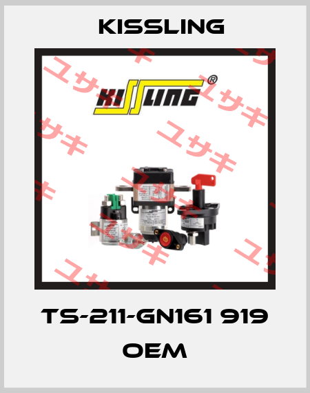TS-211-GN161 919 OEM Kissling