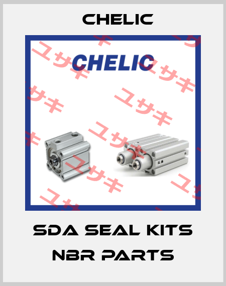 SDA seal kits NBR parts Chelic