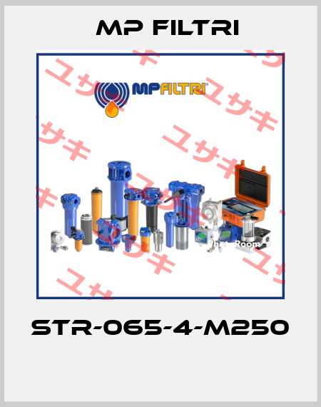 STR-065-4-M250  MP Filtri