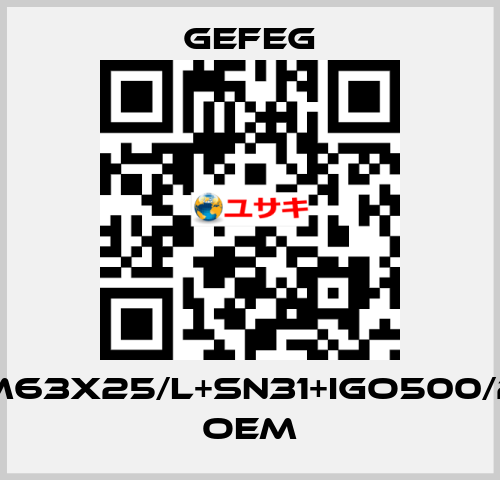 M63x25/l+sn31+igo500/2 OEM Gefeg