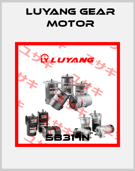 SB31-IN Luyang Gear Motor