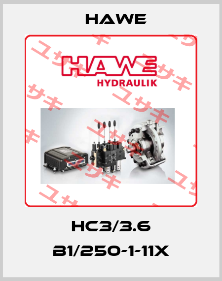 HC3/3.6 B1/250-1-11X Hawe