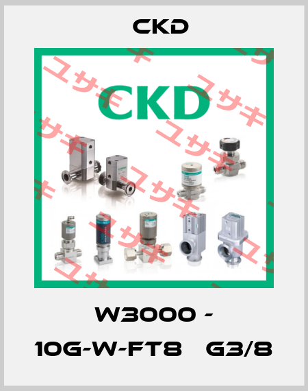 W3000 - 10G-W-FT8   G3/8 Ckd