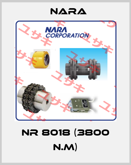NR 8018 (3800 N.M) Nara