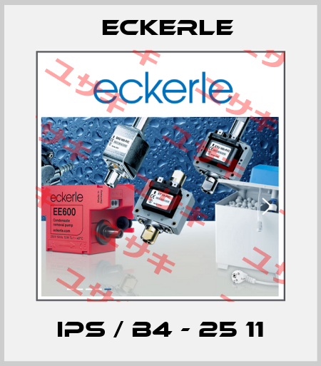 IPS / B4 - 25 11 Eckerle