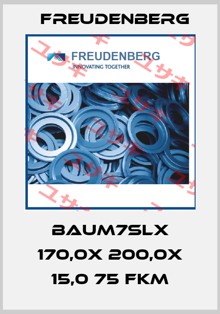 BAUM7SLX 170,0X 200,0X 15,0 75 FKM Freudenberg