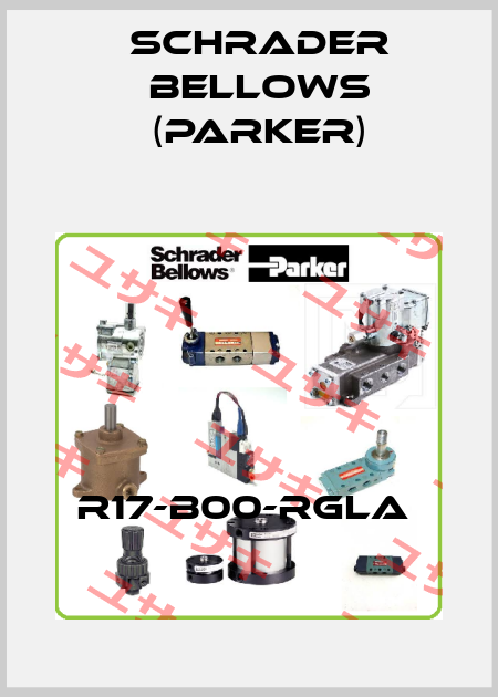 R17-B00-RGLA  Schrader Bellows (Parker)