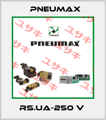 RS.UA-250 V  Pneumax