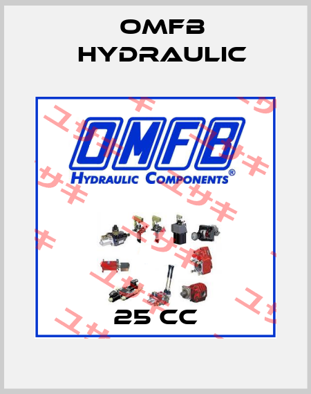  25 cc OMFB Hydraulic