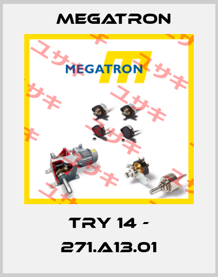 TRY 14 - 271.A13.01 Megatron