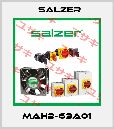 MAH2-63A01 Salzer