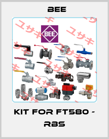 Kit for FT580 - RBS BEE