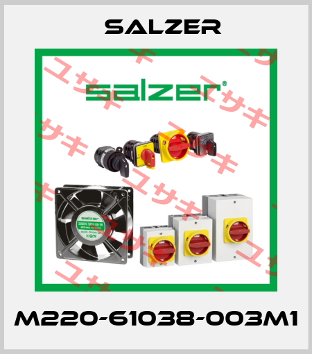 M220-61038-003M1 Salzer