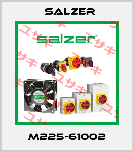 M225-61002 Salzer