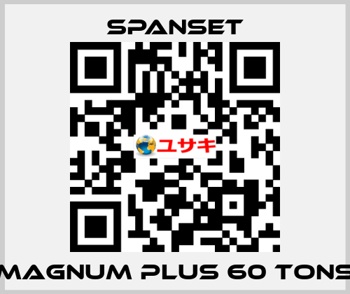 magnum plus 60 tons SpanSet