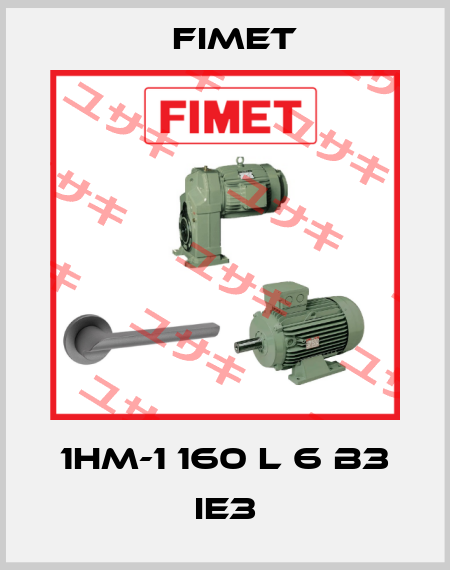 1HM-1 160 L 6 B3 IE3 Fimet