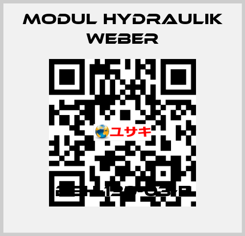 BSH-130-03-E MODUL HYDRAULIK WEBER