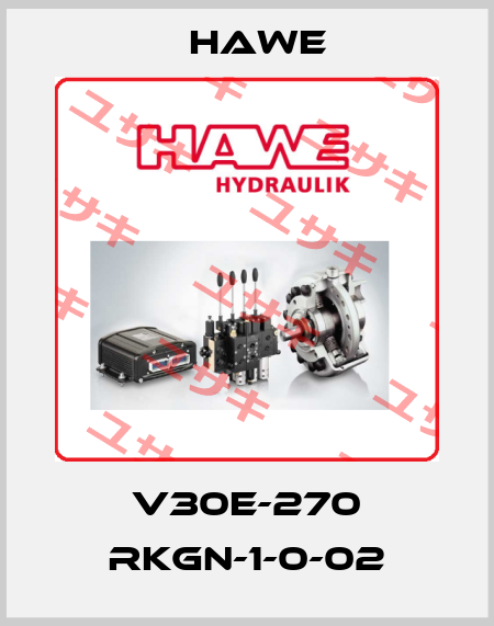 V30E-270 RKGN-1-0-02 Hawe