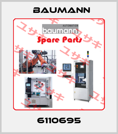 6110695 Baumann