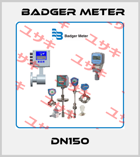 DN150 Badger Meter