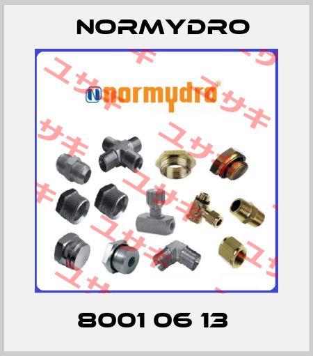 8001 06 13  Normydro