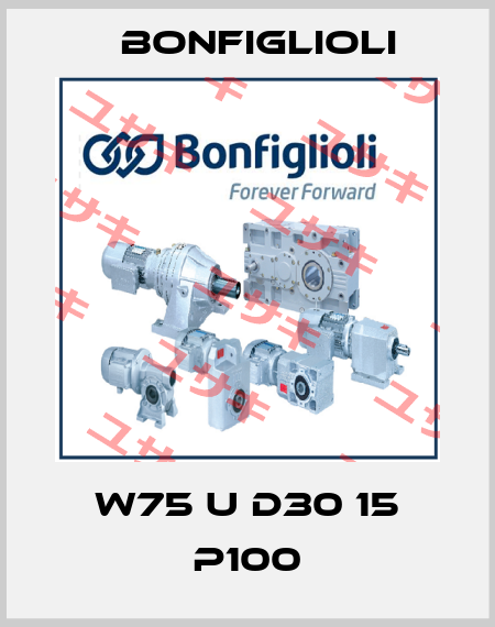 W75 U D30 15 P100 Bonfiglioli
