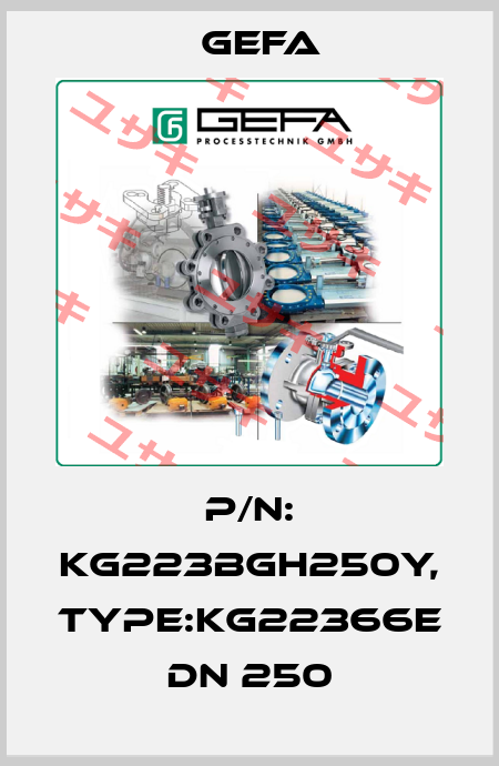 P/N: KG223BGH250Y, Type:KG22366E DN 250 Gefa