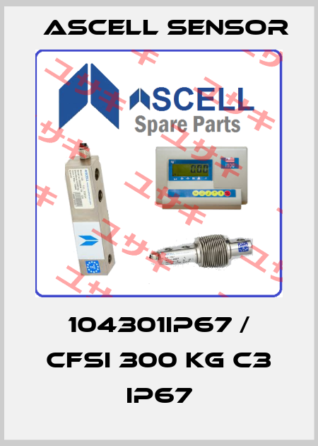 104301IP67 / CFSI 300 kg C3 IP67 Ascell Sensor